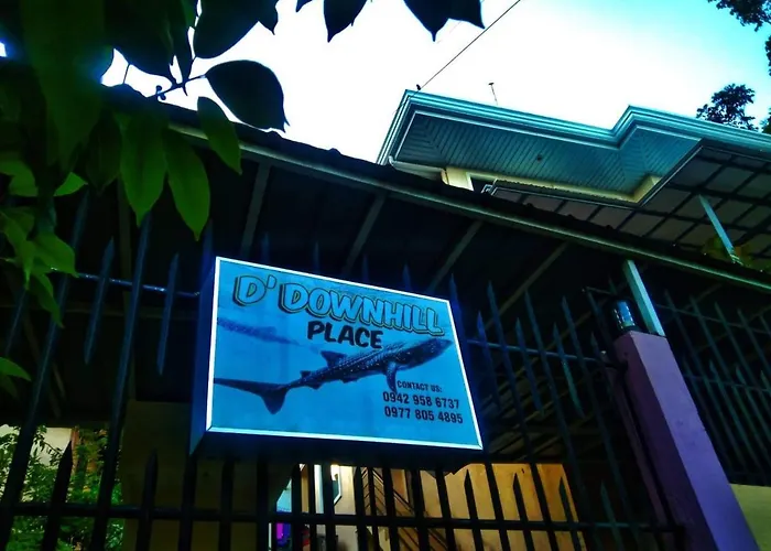 D Downhill'place